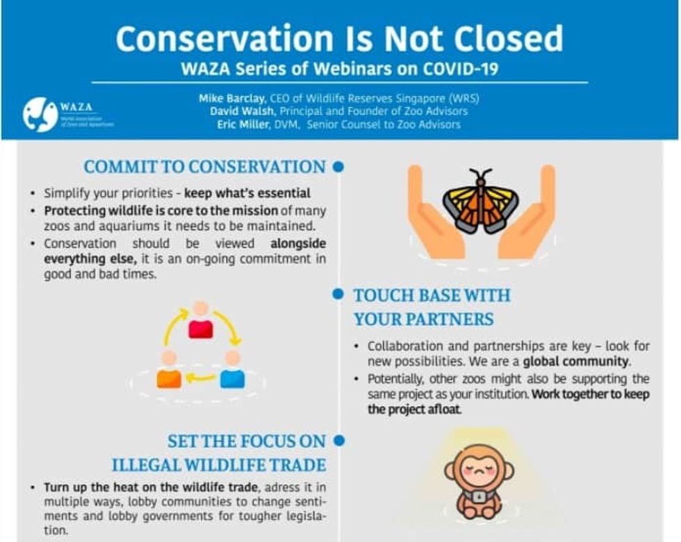 WAZA conservation COVID webinar - news of how the attractions industry is covering coronavirus