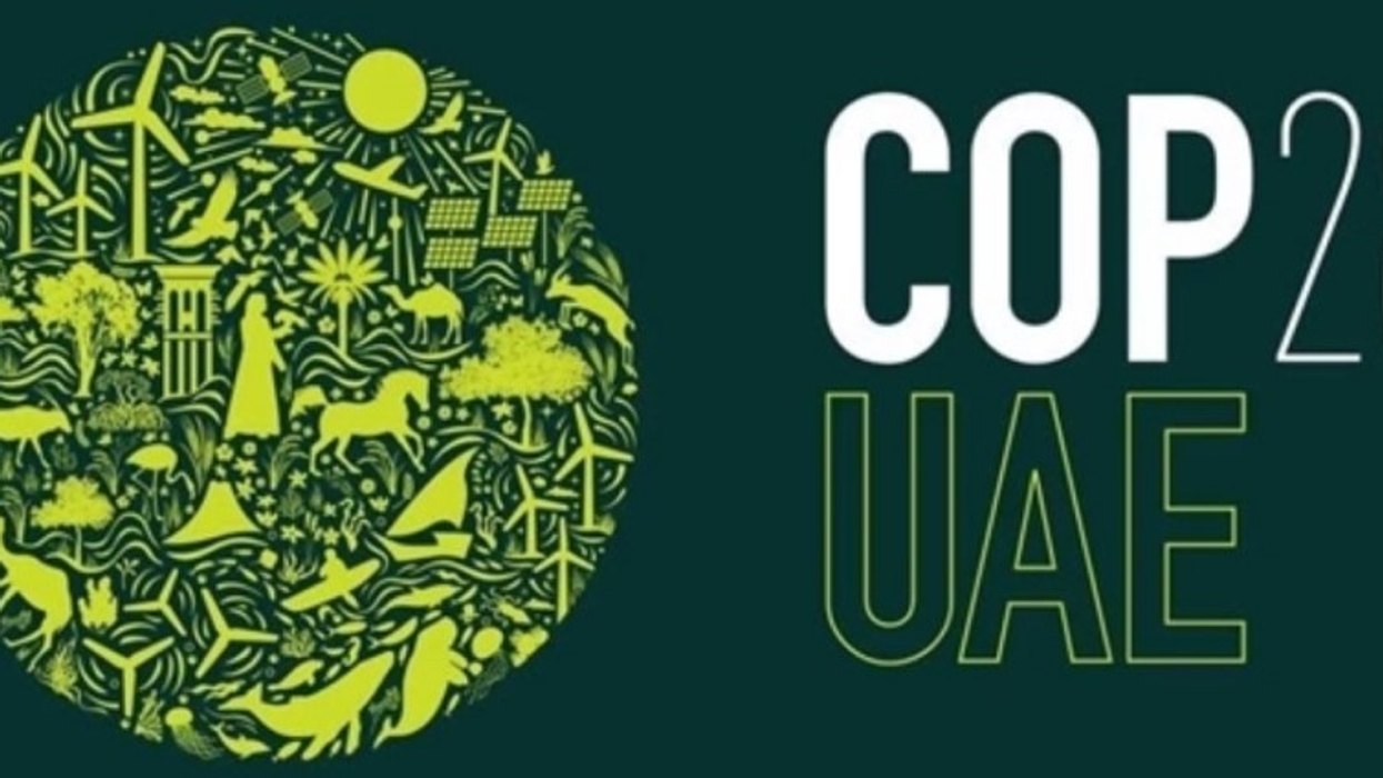 WAZA COP 28 UAE