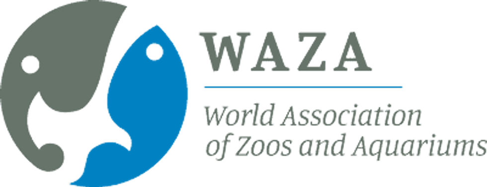 waza logo