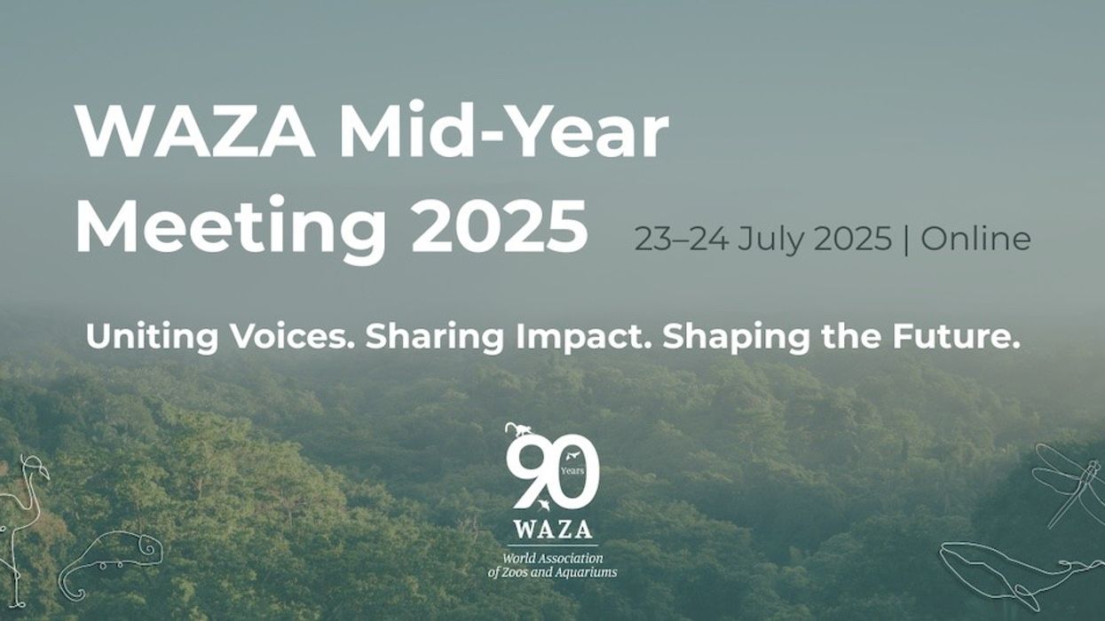 WAZA mid year meeting 2025