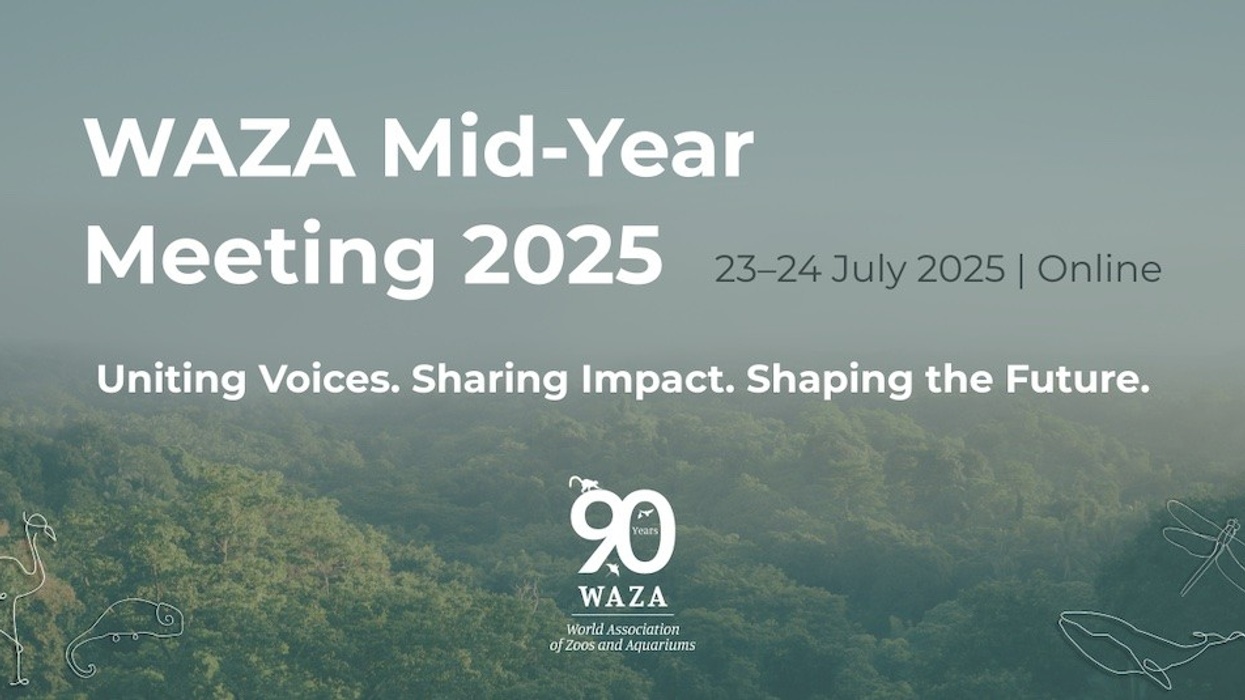 WAZA mid year meeting 2025