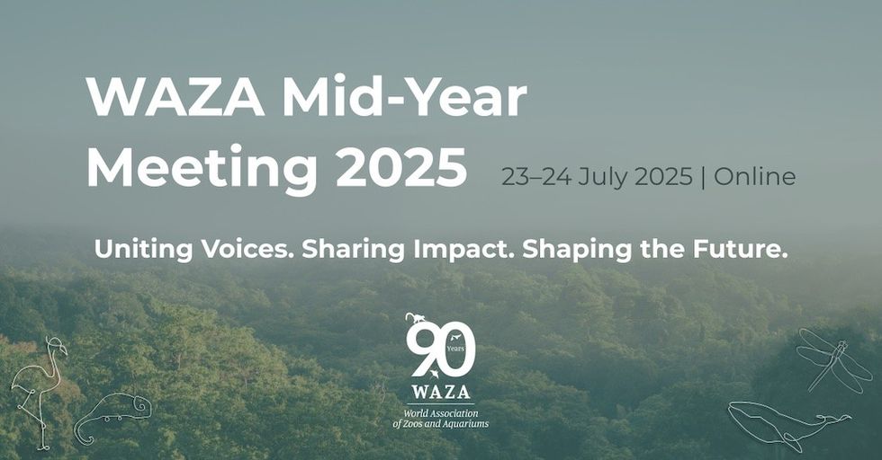 WAZA mid year meeting 2025