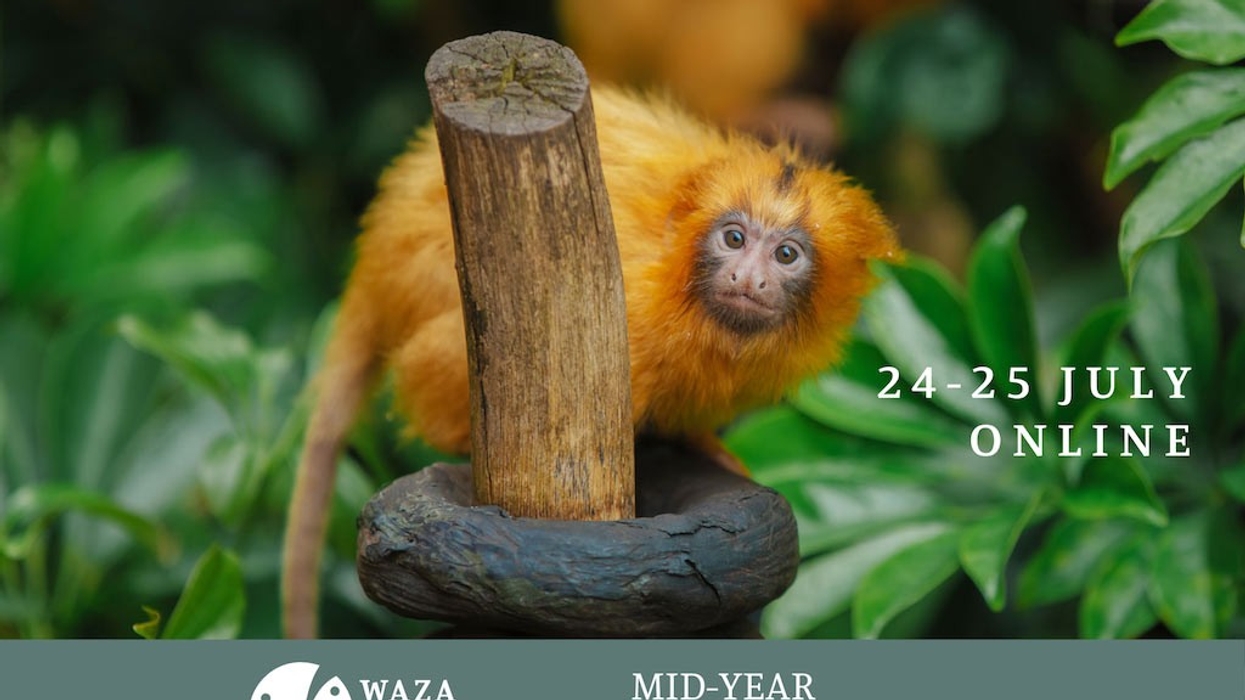 WAZA mid year meeting