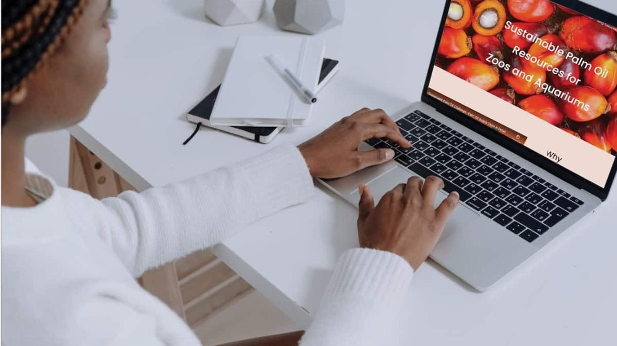 WAZA sustainable palm oil website