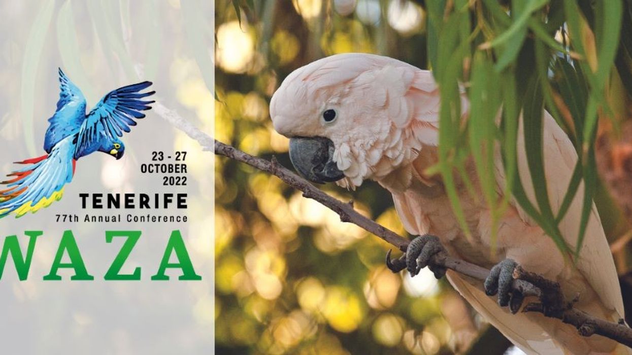 WAZA Tenerife Annual Conference 2022