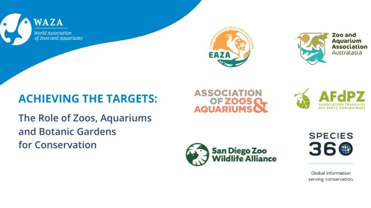 WAZA to represent sector at CBD COP