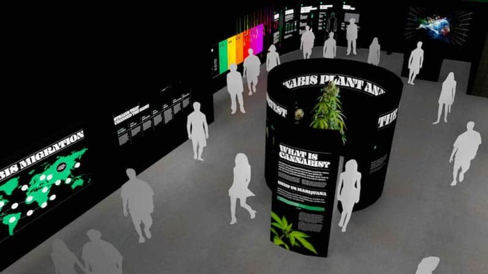 weedmaps museum weed