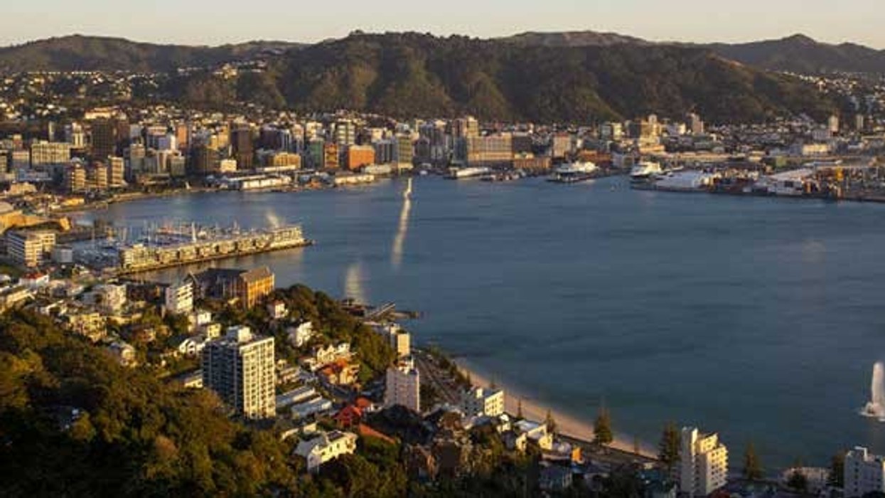 wellington city council approved zip lines