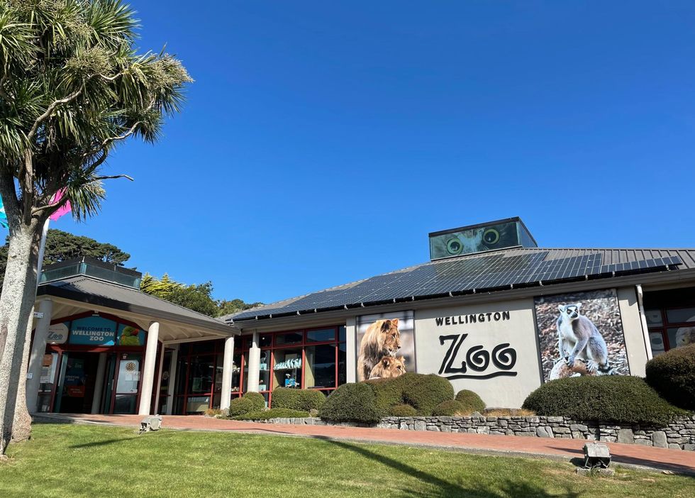 wellington zoo