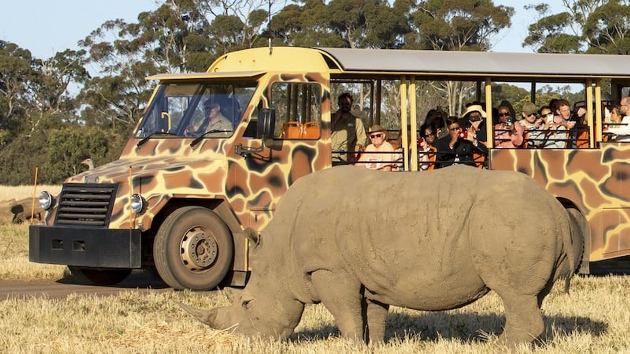 werribee open range zoo