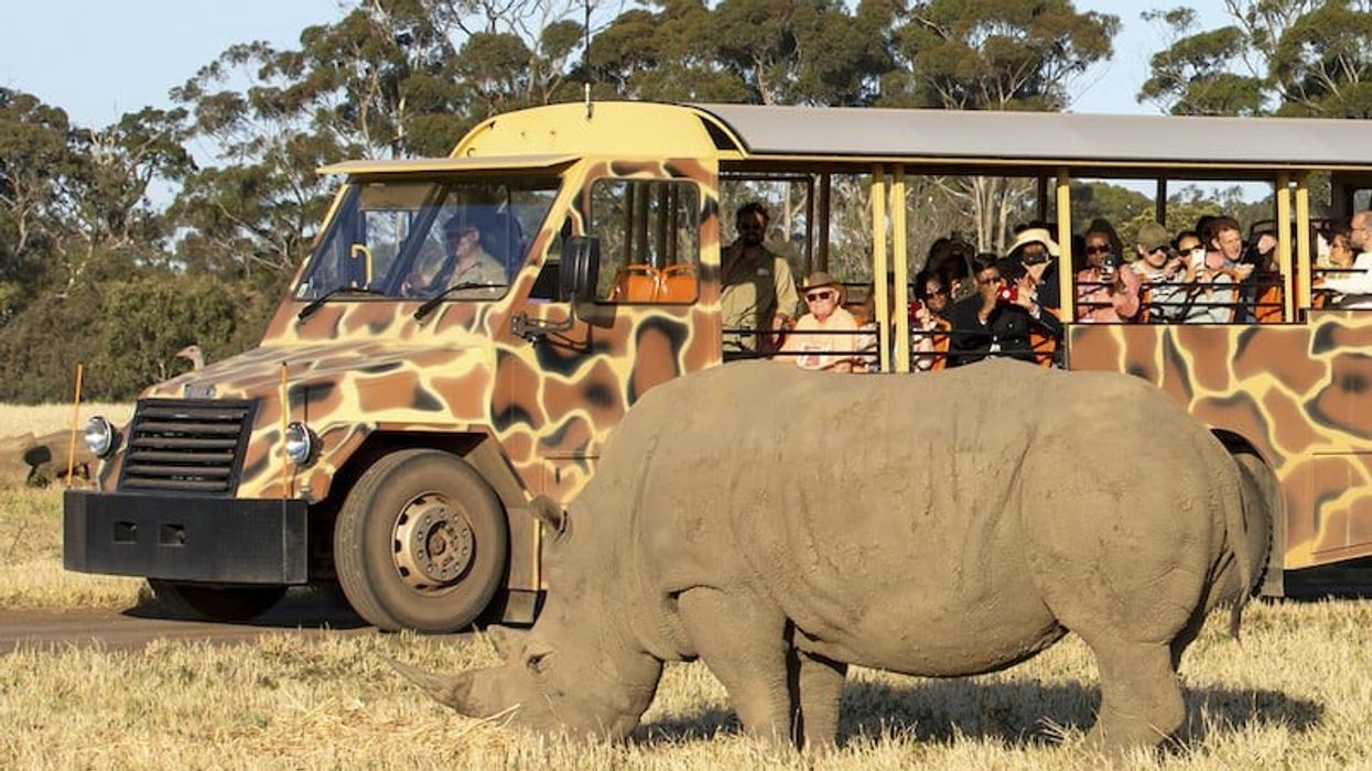 werribee open range zoo