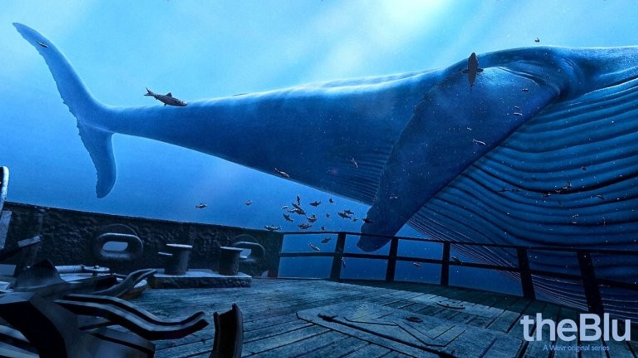Wevr's Underwater VR Experience Opens at L.A.'s Natural History Museum