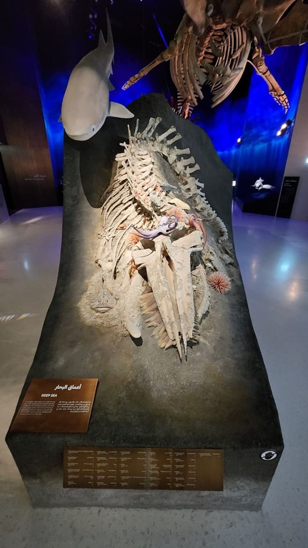 Whale: Ground form fabrication by Adirondack Studios; baby whale was 3D printed by ADKS ME and aged by Weta Workshop; Foliage fabrication by Volumetric