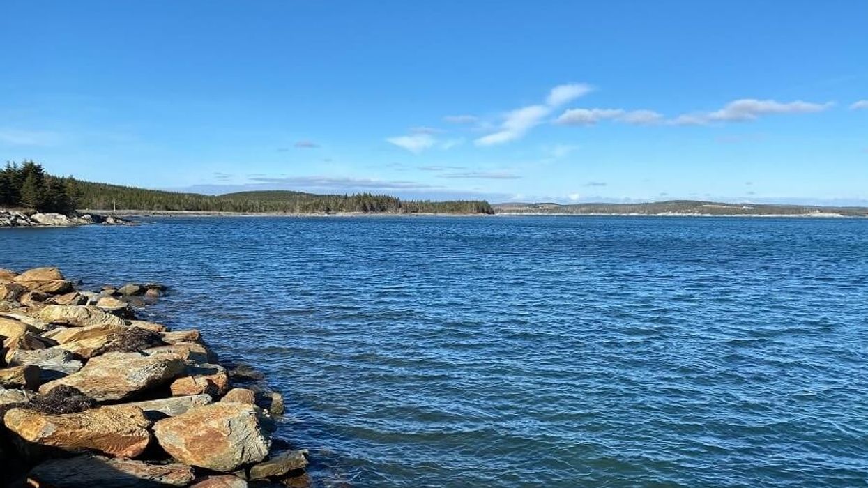 whale sanctuary project canada