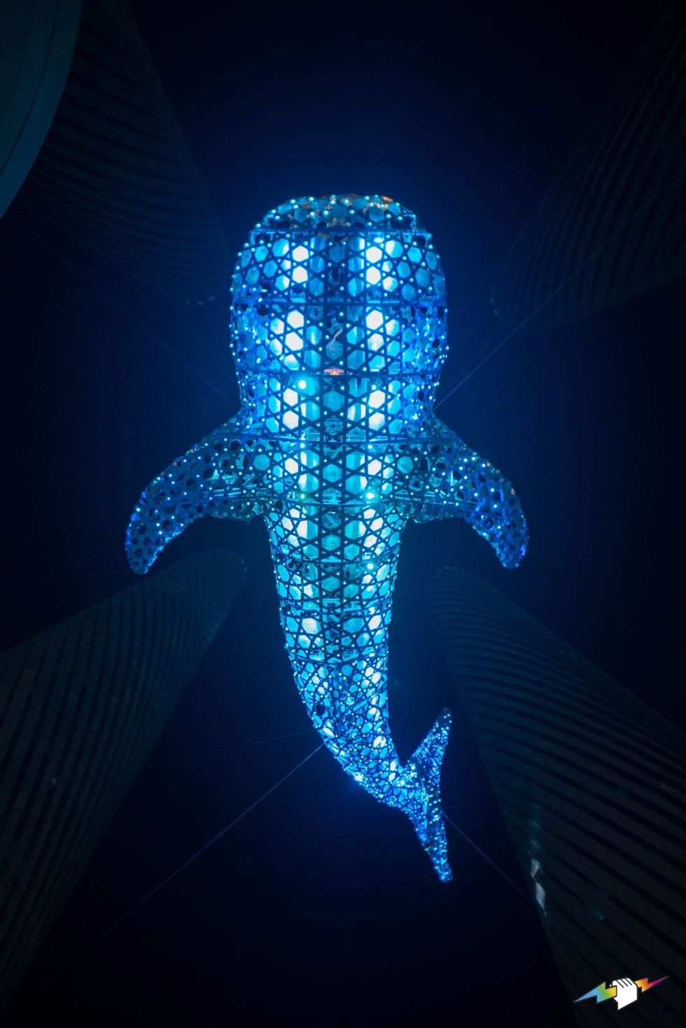 WhaleShark Icon blue glow
