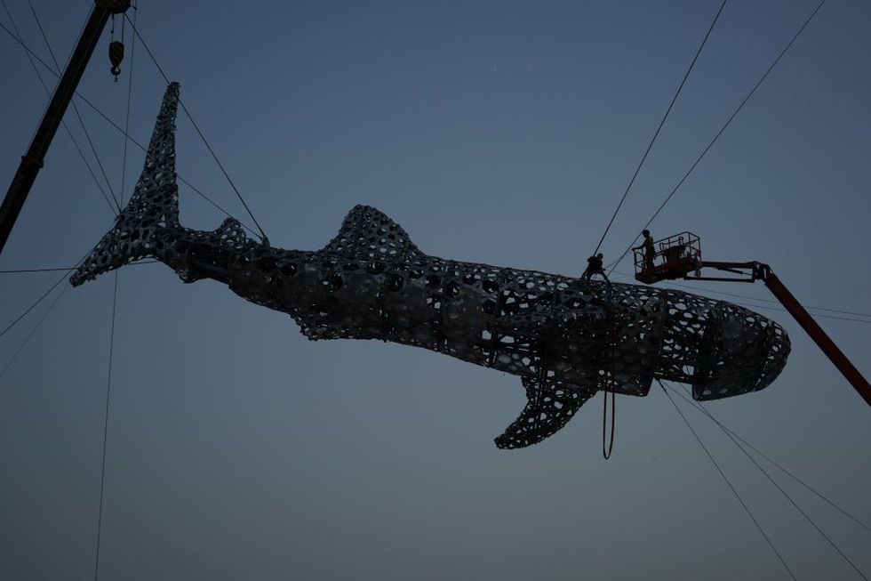 WhaleShark Icon construction