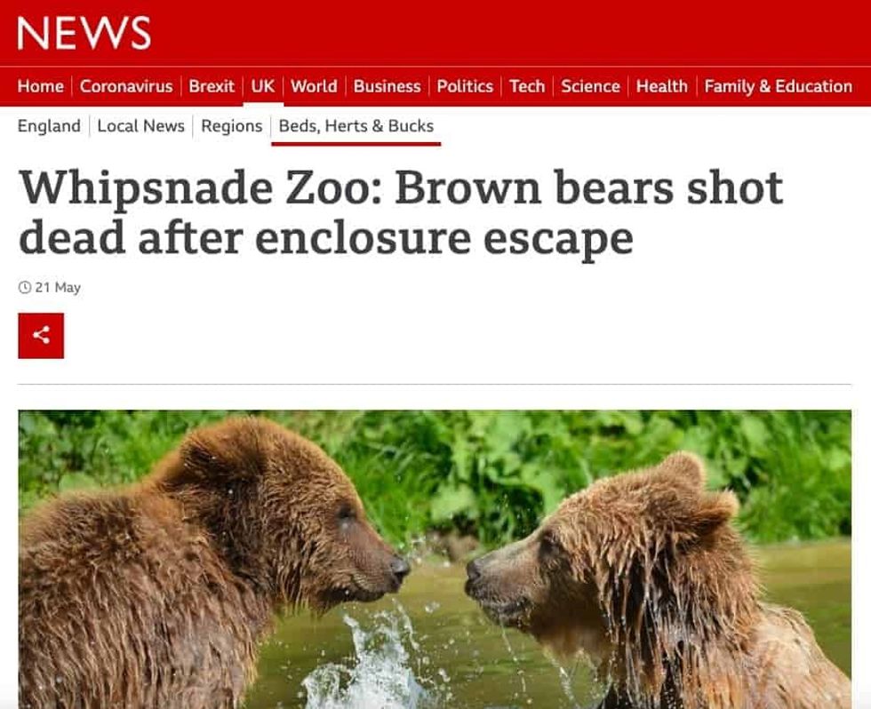 Whipsnade Zoo bears shot emergency planning
