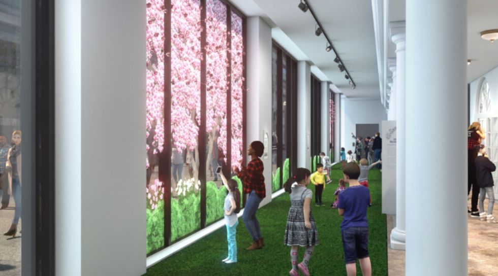 white house experience rose garden