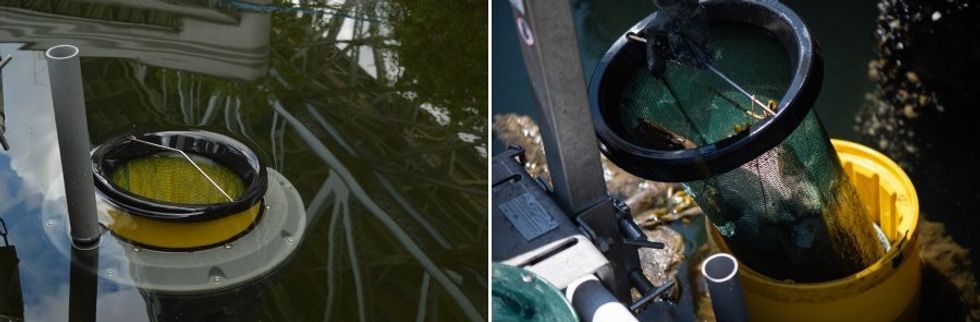 Whitewater Swim Drink Fish Seabin