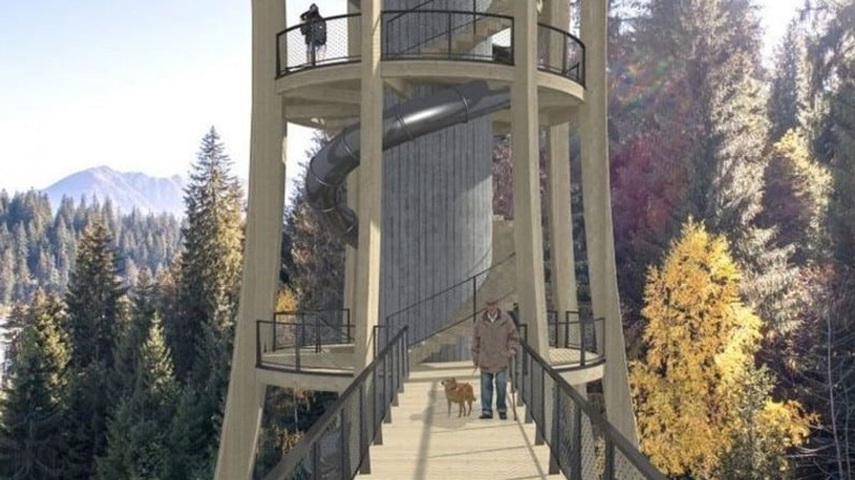 wiegand treetop slide switzerland