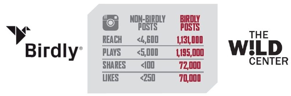 wild center Birdly VR social shares