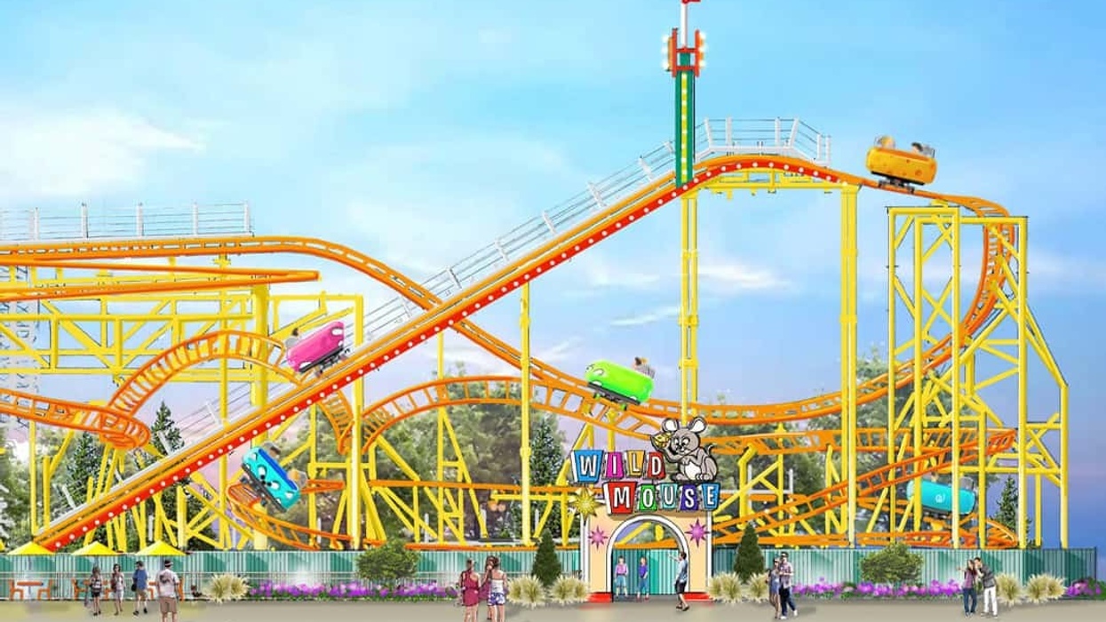 wild mouse cedar point