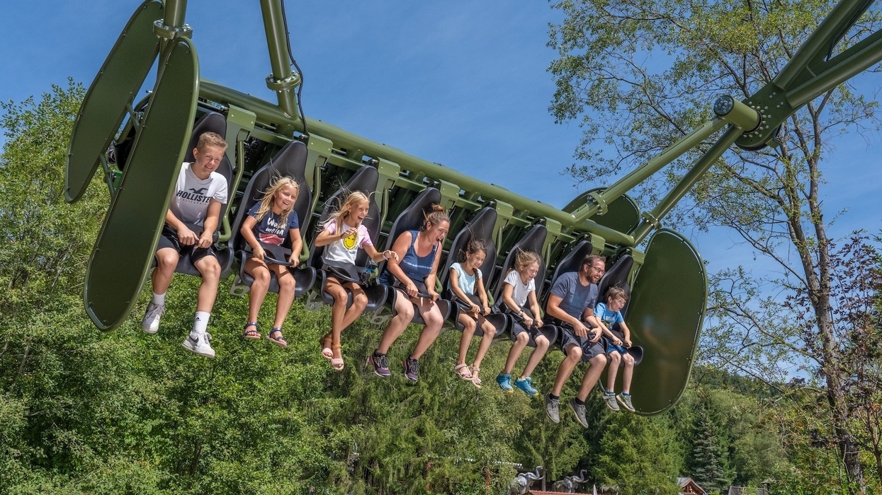 Wild Swing Fantasiana