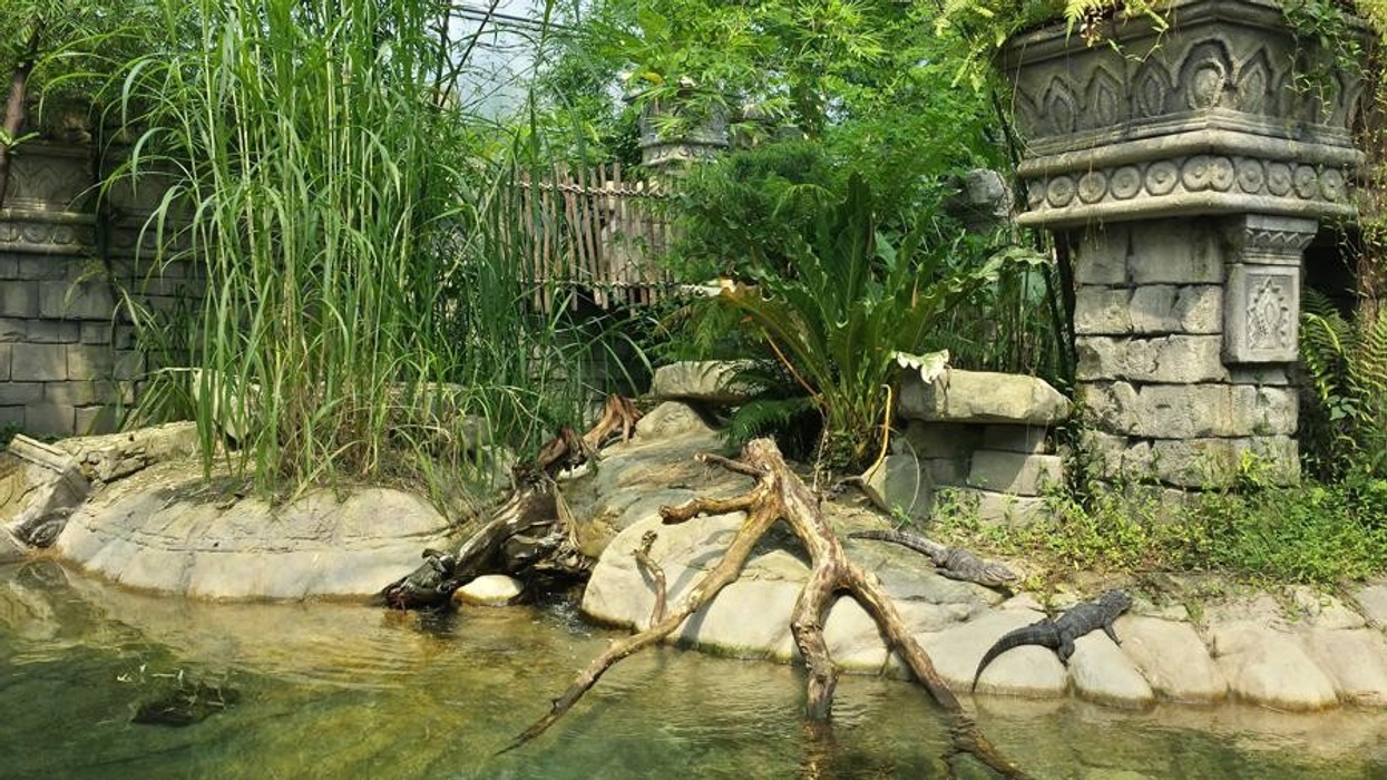 Wildlands Aventura Zoo, Emmen, Netherlands, by Universal Rocks