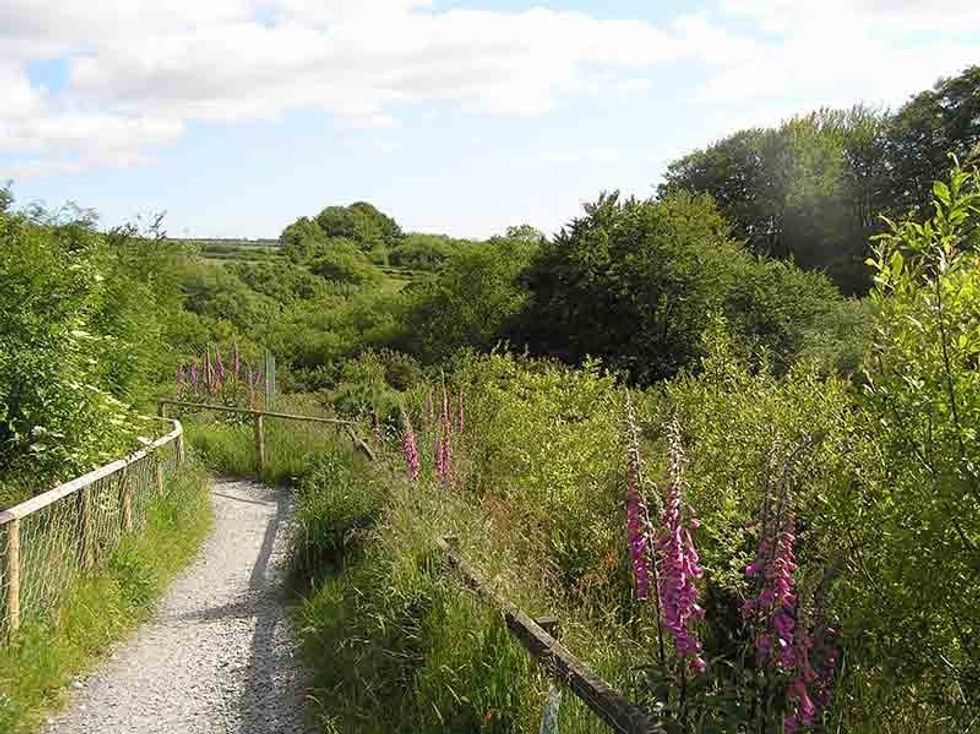 wildlife exmoor zoo pathway