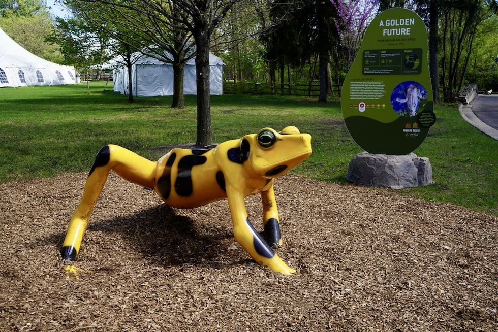 Wildlife Rescue Detroit Zoo