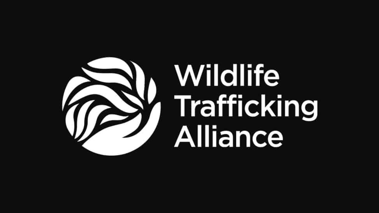 Wildlife Trafficking Alliance