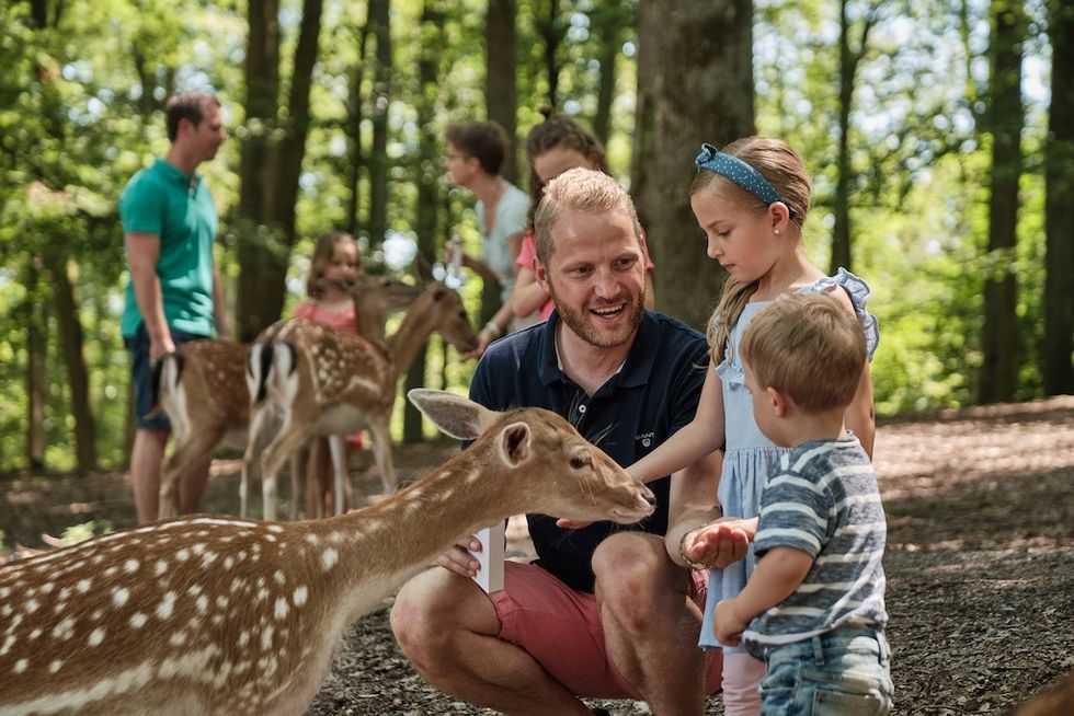 Wildparadies Trispdrill