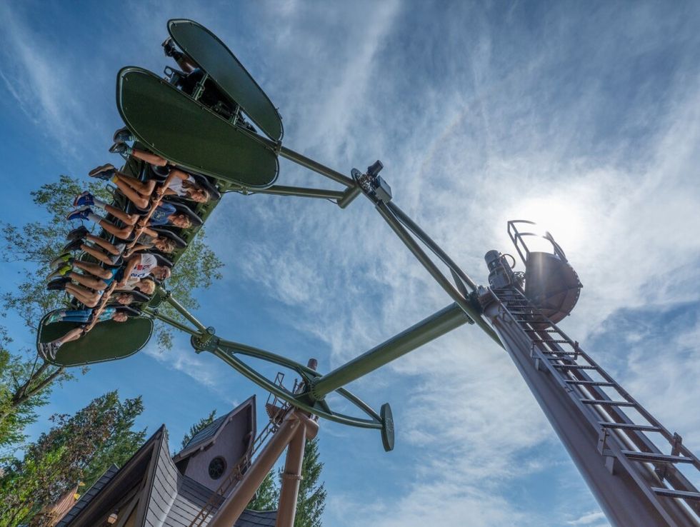WildSwing