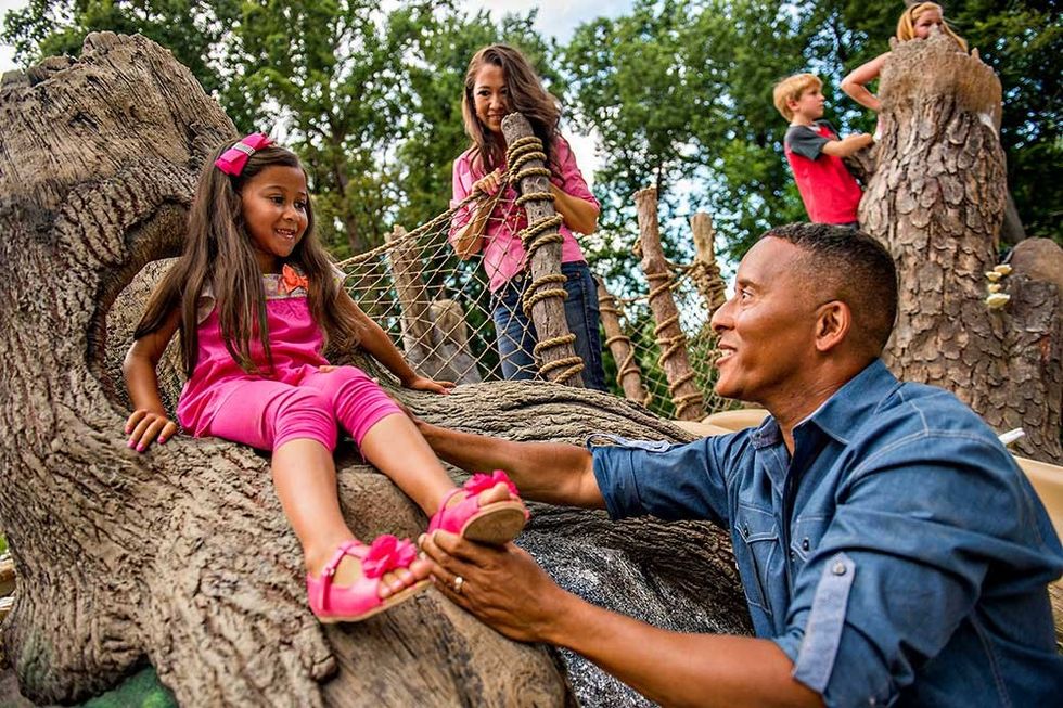 wildwoods nature stories Fernbank Museum of Natural History