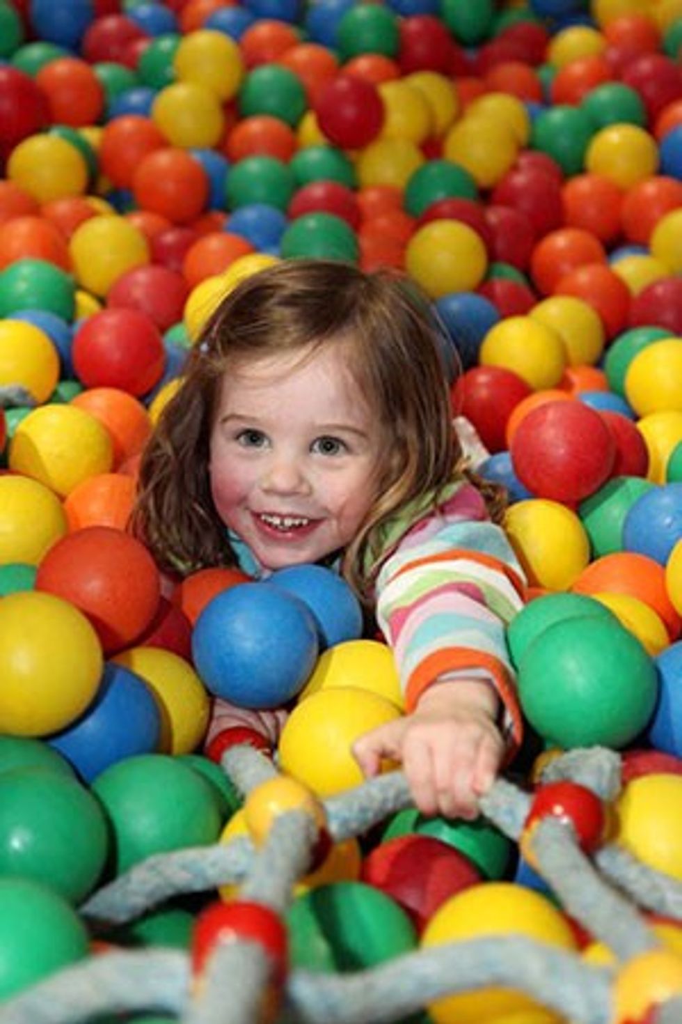 willows activity farm ballpit