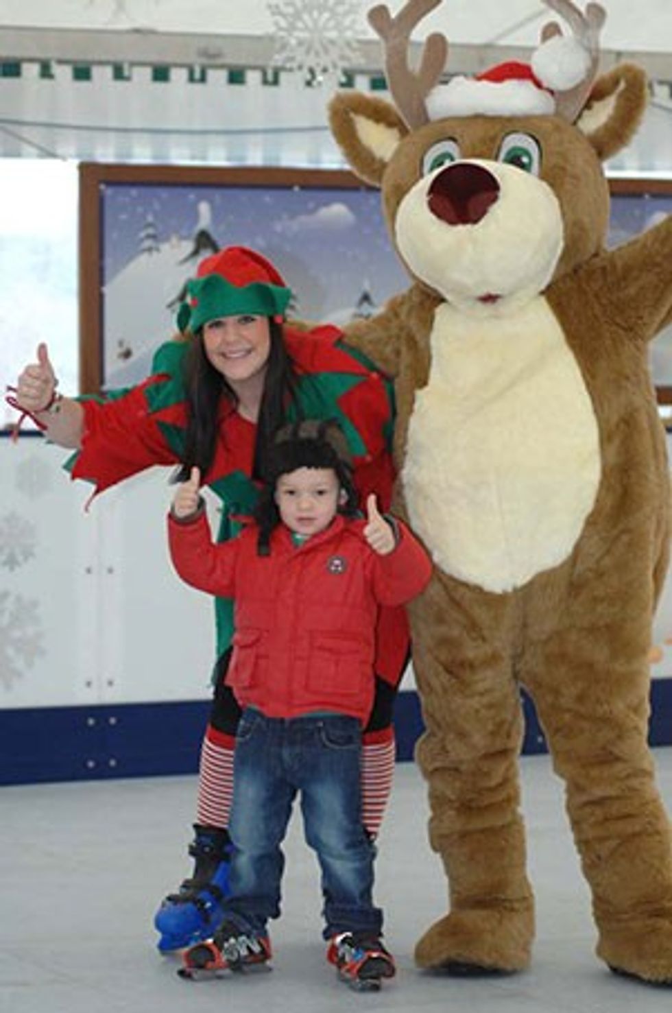 willows activity farm christmas