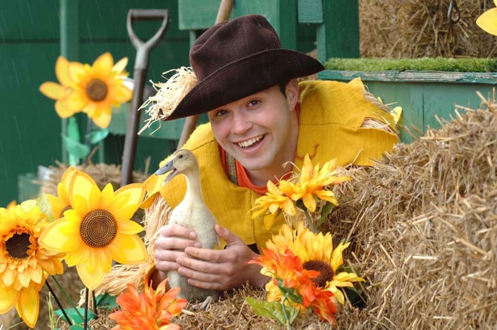 willows activity farm duck