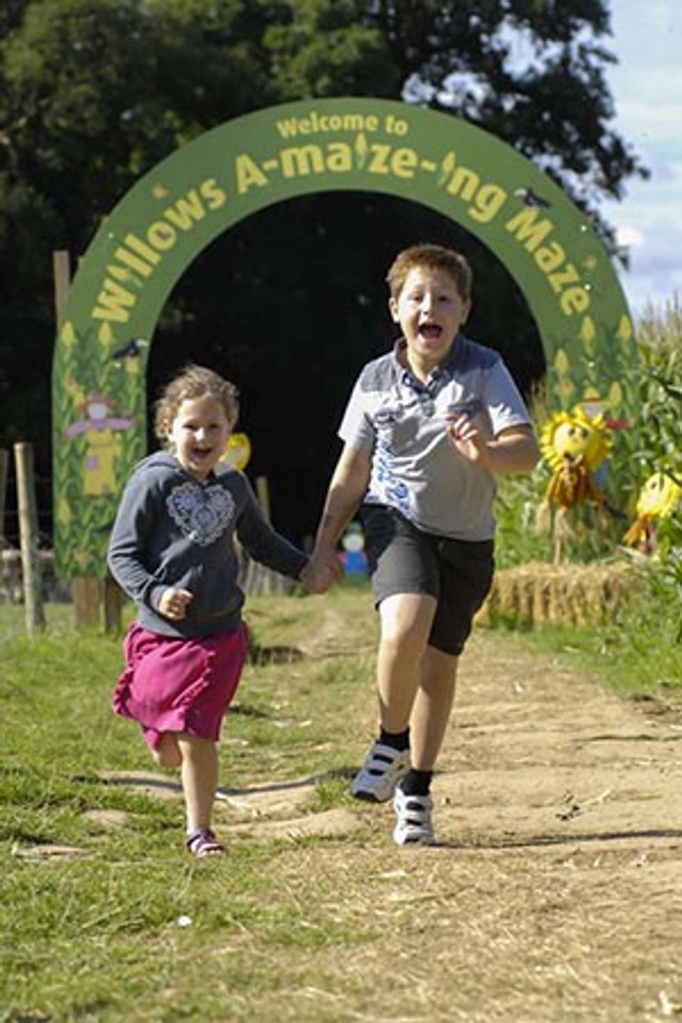 willows activity farm maze