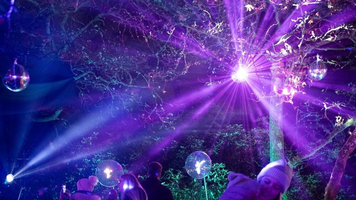 Windsor illuminated
