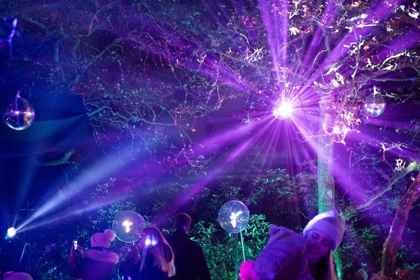 Windsor illuminated