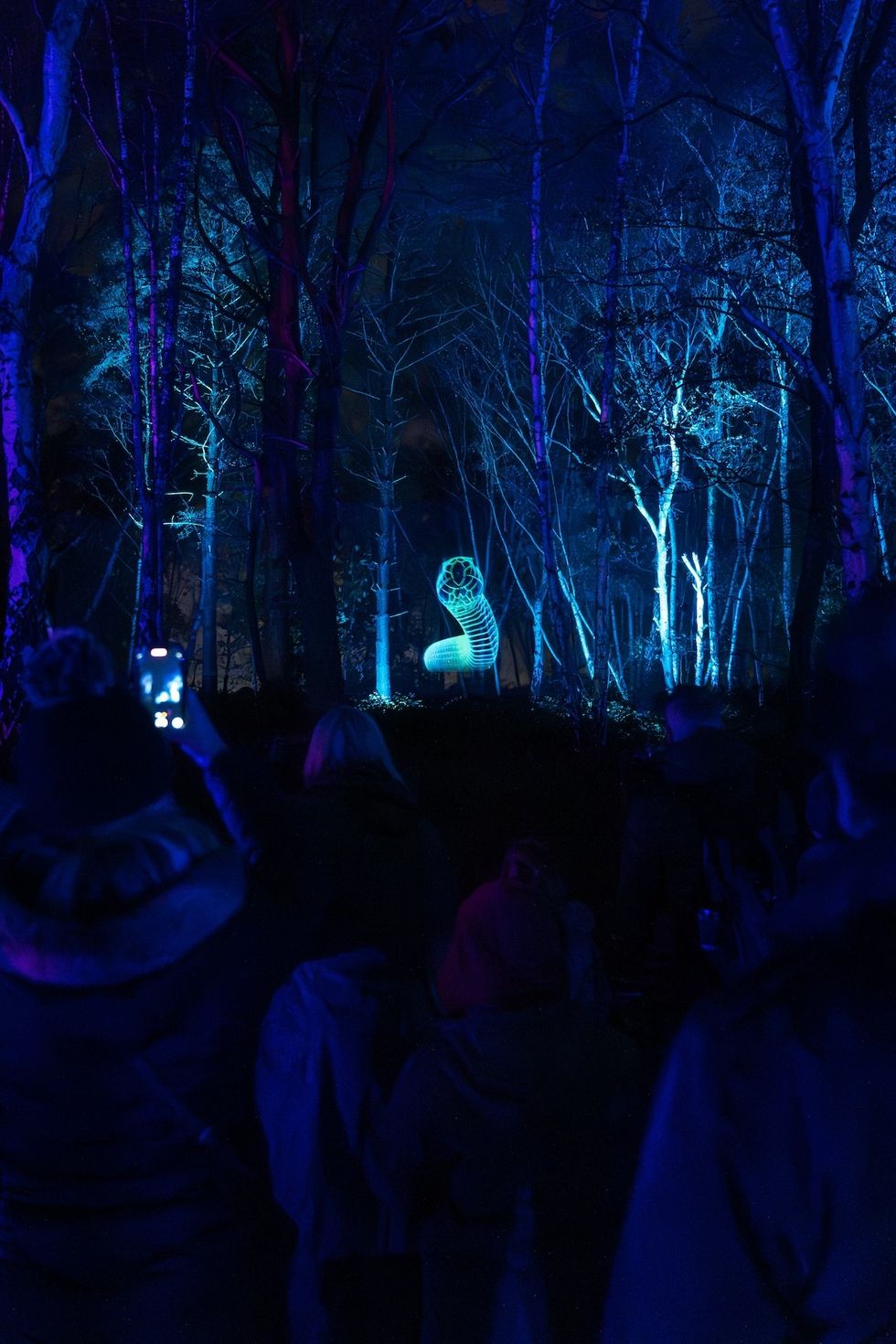 Windsor illuminated