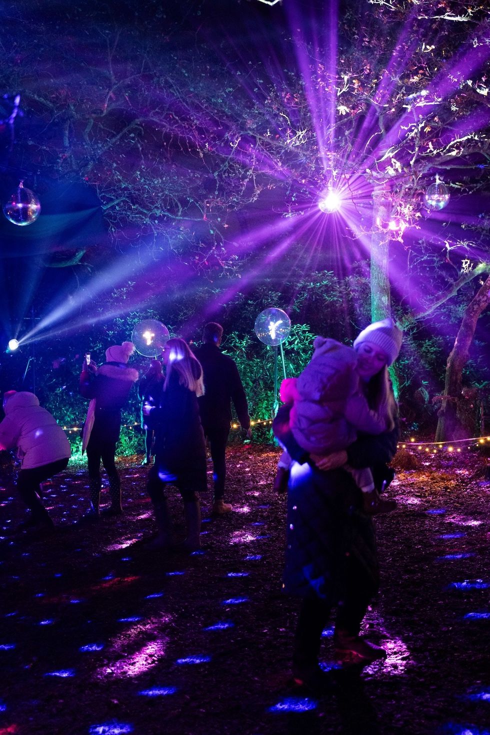 Windsor illuminated