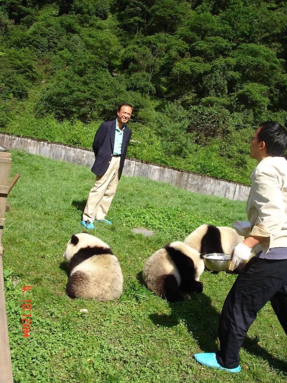 Wolong Nature Reserve pandas Matthias Li