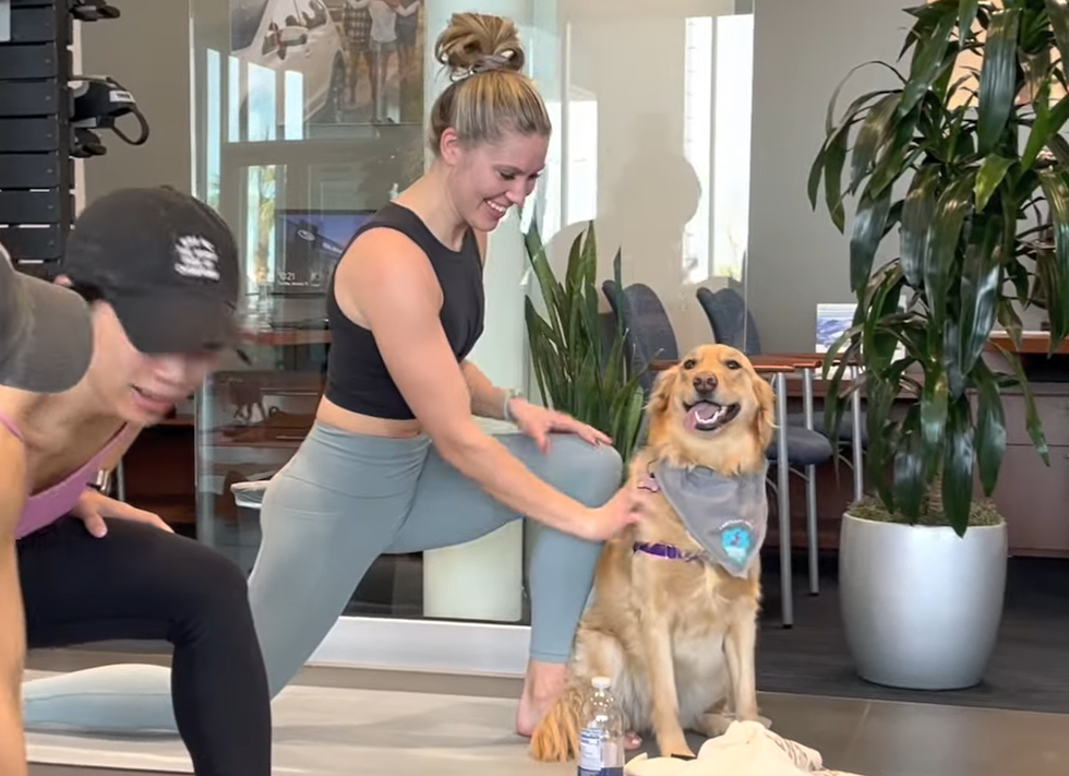 Woman doing yoga with a happy golden retriever wearing a bandana indoors.