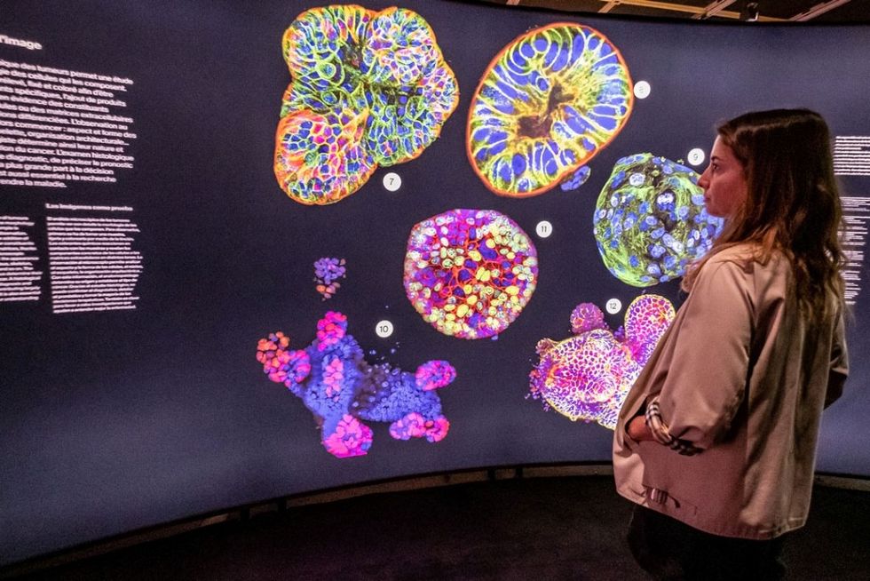 Woman observing vibrant cell structures on a display board at Cit\u00e9 des Sciences et de l'Industrie
