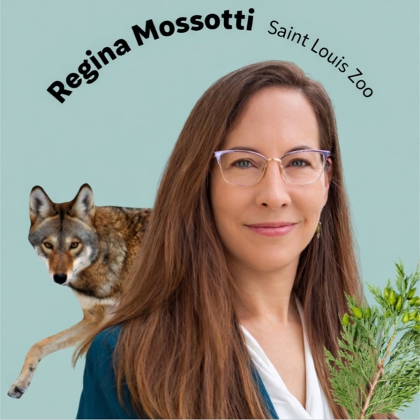 Woman with long hair and glasses, wolf and greenery, text reads "Regina Mossotti, Saint Louis Zoo."