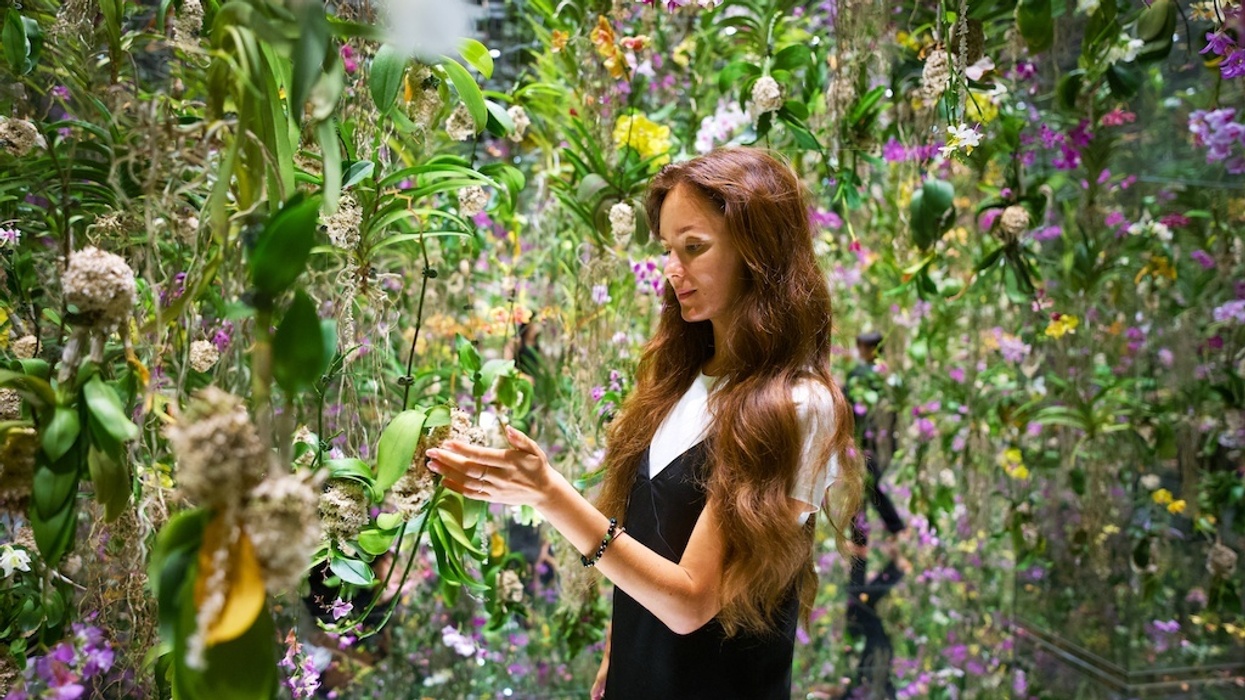 Woman with long hair examines vibrant hanging flowers in a lush garden setting, teamLab Tokyo immersive experience