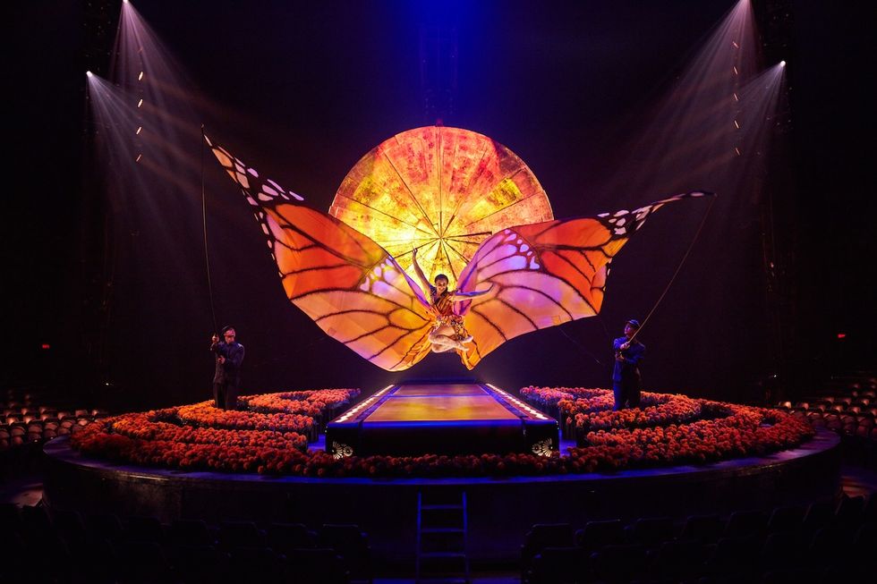 Women at Cirque du Soleil show with butterfly wings flying