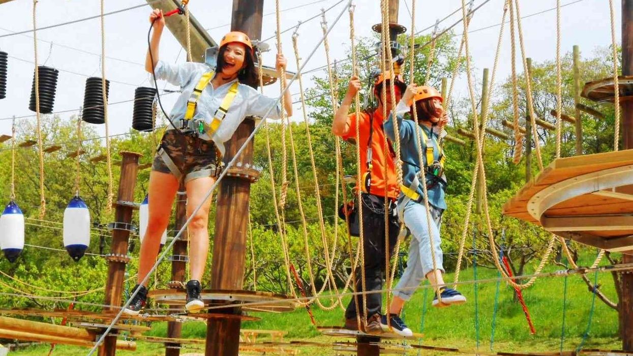 women on ropes course ora!woo!tan! at harvest hill japan