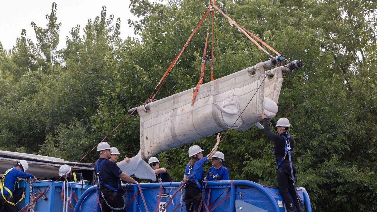 Workers guide a whale being hoisted by a crane, surrounded by trees.